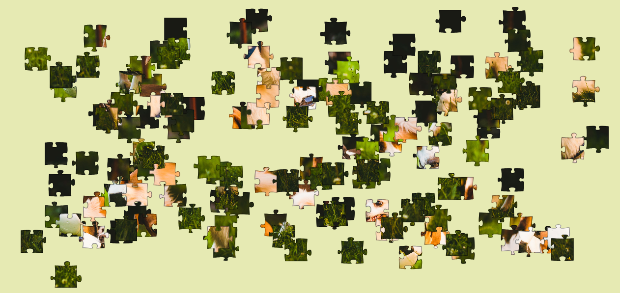 PUZZLE